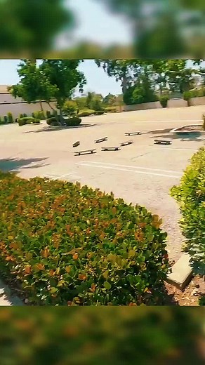 Skateboard Tamed, Friendship, and Tragic Demise