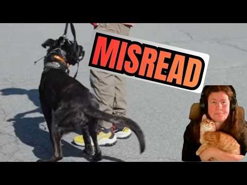 Tom Davis Was WRONG About This Dog… Here’s Why (Part 2)