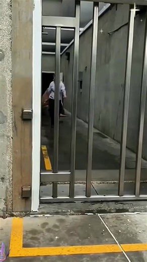 Walrus #animal #shorts #funny #cute #walrus | Happy Stories