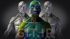 Mastering Human Anatomy For 3D Artists