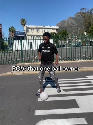 POV: That One Ball Owner — Funny Pet Owner Moments