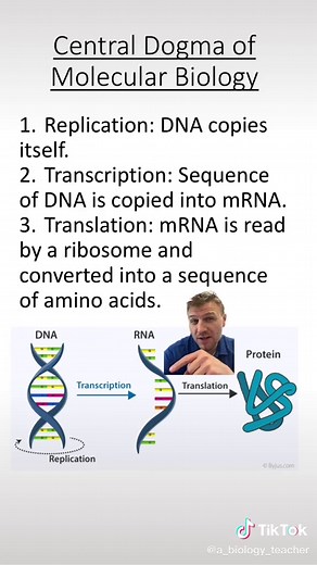 A Biology Teacher on TikTok