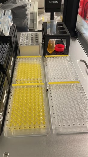 Researchers use robotics to find potential new antibiotic among hundreds of metal complexes
