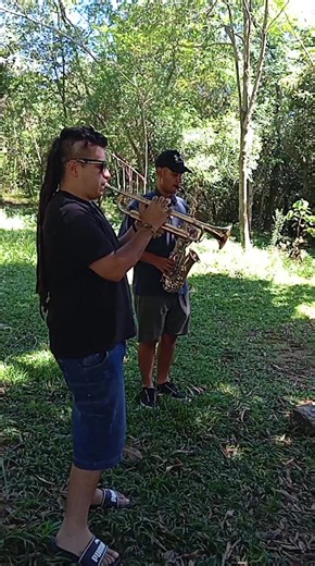 Ensamble de Vientos: Una Celebración Musical