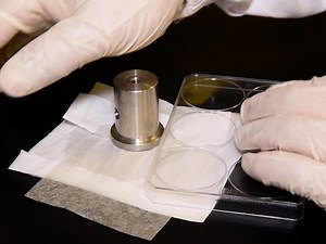 Three-dimensional Super Resolution Microscopy of F-actin Filaments by Interferometric PhotoActivated Localization Microscopy iPALM