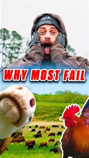 Homesteading is Hard Work: Forget the Perfect Plan