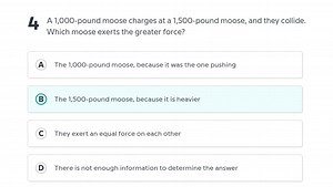 A 1,000-pound moose charges at a 1,500-pound moose, and they co... | Filo