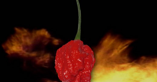 Can hot peppers knock out cancer?