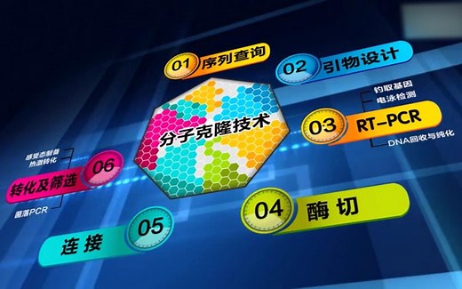 【生物科研视频教程】分子克隆（Molecular Cloning）