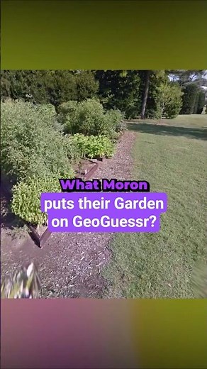Who Puts Their Garden On GeoGuessr?