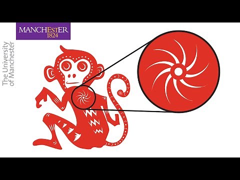 How to Show Zoomed In Details with Illustrator CC | Adobe