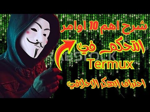 شرح اهم اوامر التحكم في Termux || كورس احتراف الهكر الاخلاقي 💗
