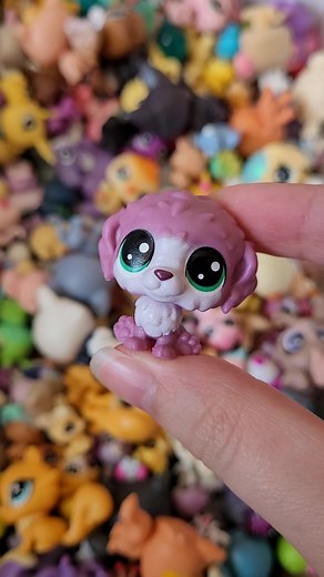 Mini LPS Loving Household Showcase