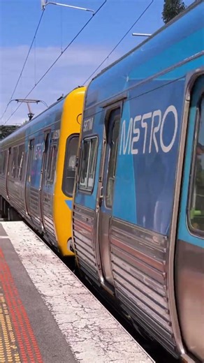 Comeng train doors closing at Hampton, Sandringham line #train #railway #metrotrains #trainspotting