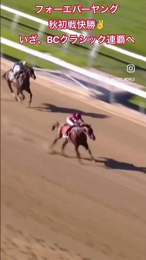 フォーエバーヤング、秋初戦快勝！✌️いざ！BCクラシック連覇へ#jra #競馬#おすすめ #youtube #トレンド #shorts