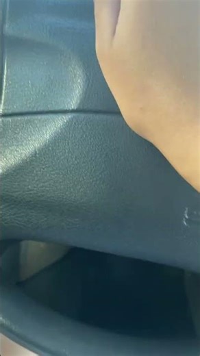 1993 Saturn SL1 Silent Honks