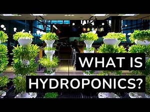 What Is Hydroponics? - Chapter 1