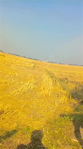 শ্মশানে কাঁদছে ভালোবাসা on Instagram: "Paatar paatar hoth lali pop lagatar"