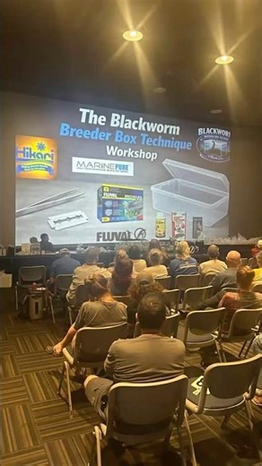 Blackworm Breeder Box Workshop tour.