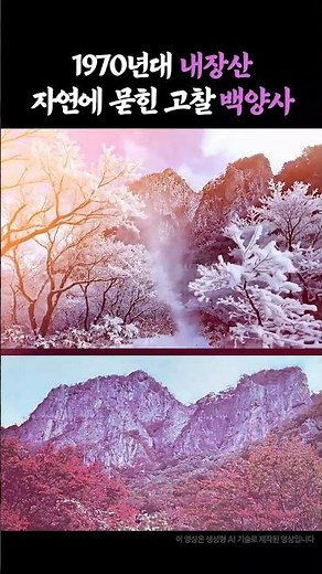 Korea 50 Years Ago ⏳ Beautiful 4 Seasons of Naejangsan National Park