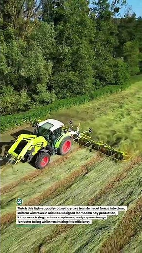 Massive Rotary Hay Rake Turns Fields into Perfect Windrows! #HayRake #FarmMachinery #Agriculture