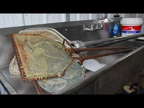 Larval Yellow Perch Culture Video Manual--Module 1: Cleaning & Disinfection