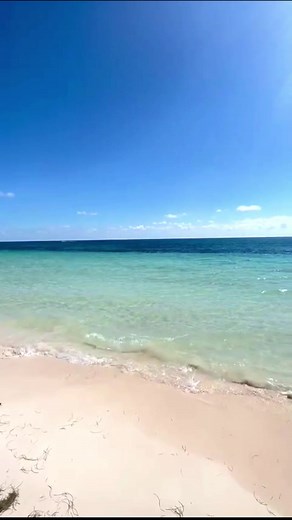 Rate our incredible beach view on a scale of 1 to 10 in the comments 🏖️☀️🌊🇲🇽 #OceanMayaRoyale #Mexico #RivieraMaya #AdultsOnly #FeelTheOcean #AllInclusive #OceanHotels #DreamVacation #WelcomeOcean | Ocean Maya Royale