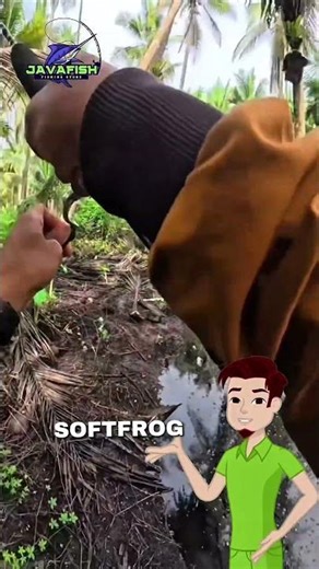 Here are 4 beginner mistakes when using softfrogs! #fishing #softfrog #fishingmania #casting #jav...