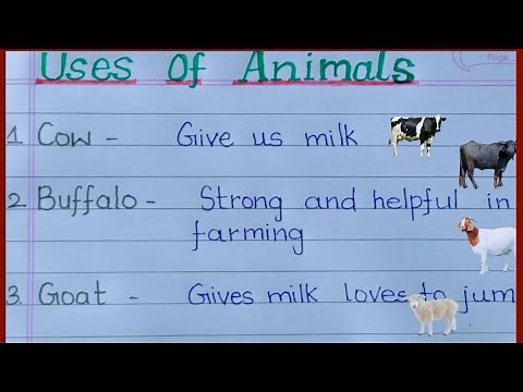 Uses of animals|Domestic animals their uses| Importance of animals|List of Domestic Animals Featured
