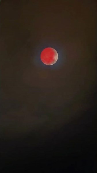 Rare Red Moon Captured After 4 Hours of Waiting Blood Moon 2025 #vairal #BloodMoon #RedMoon