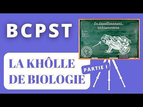 🍃 La COLLE de biologie en BCPST : Explications et Méthodes Partie I
