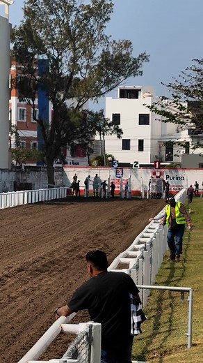 EL CISNE C. LIMON/EL ROBLE 🆚 PRINCESA MIA C.TADEO 275 VARAS Gana: 🥇El Cisne 🍀 🔥FELICIDADES A LA CUADRA LIMÓN/EL ROBLE 🔥 #carrerasdecaballos #parejeras #carreras #parejerasdelaregion #caballos #fypシ゚ #parati #viralpost #caballosdecarreras #viralreel | Parejeras De La Región