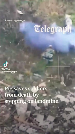 Landmine very near miss #scary #ww2