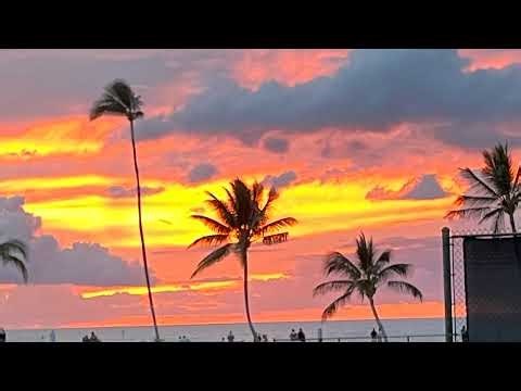 Rampage 16U (2026.01.24)