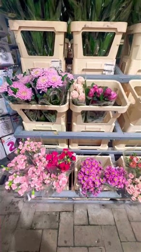 Flowers shopping themes today - moody & spring time #flowers #business #heirloom #plants #florist