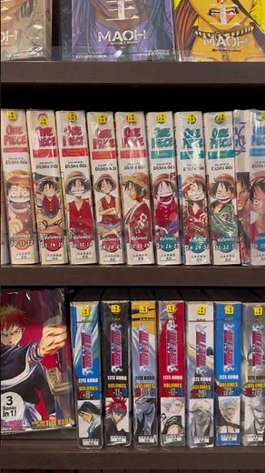 Kyoto International Manga Museum