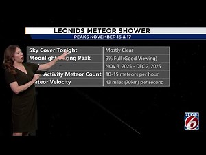 Look up! Leonid meteor shower to light up night skies