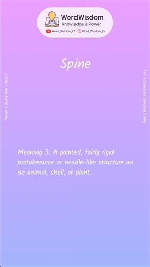 What does "Spine" mean? | English vocabulary shorts | #spine #wordwisdom