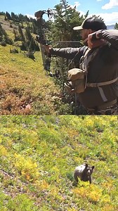 173K views · 908 reactions | Never touched him #bear #hunting #archery #mountains #colorado #adventure #explore #travel #outdoors | Tanaly Somala | Facebook