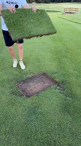 How Does He Do That?! | The Lawn Tools