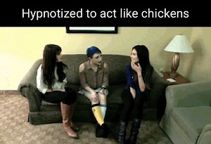 Hypnotized to act like chickens - iFunny