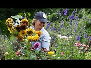 The most beautiful sunflowers in the world! Van Gogh Fantasy Mix Sunflower Arrangements // Northlawn