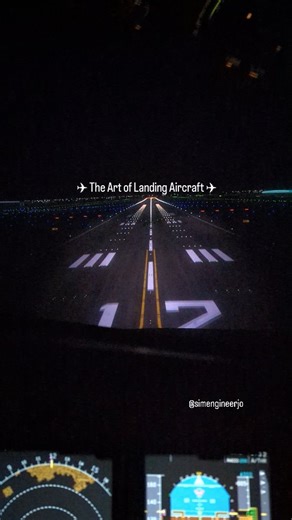 Ibrahim Y | The Sim Engineer ✈︎ 🇯🇴 ❤︎ 𓂆 | The Art of Landing Aircraft ✈︎ . . . . . . #pilotlife #pilot #aviation #aviationlovers #flight #planes #a320#landing#aviationdaily... | Instagram