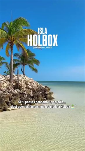 Le vrai paradis est au Mexique… et il s’appelle Holbox 🏝️✨ Eau turquoise, sable blanc, ambiance chill… impossible de ne pas tomber amoureux 😍 Tu veux découvrir ce coin magique ? Je t’organise tout 👇 📲 WhatsApp : 33760882570 #holbox #mexique #paradis #voyage #tulum