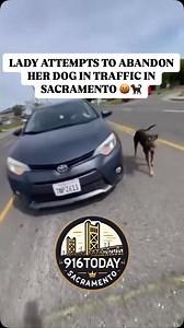 190K views · 1.3K reactions | #916Today WOW! A lady was spotted attempting to abandon her dog in the middle of traffic in the Del Paso Heights area of Sacramento. A driver pulled over after noticing her actions, blocked her way, and insisted she let the dog back into the car before she could leave.梁 Thoughts on this?  #916 #sacramento #wow #dogs #smh | 916 Now | Facebook