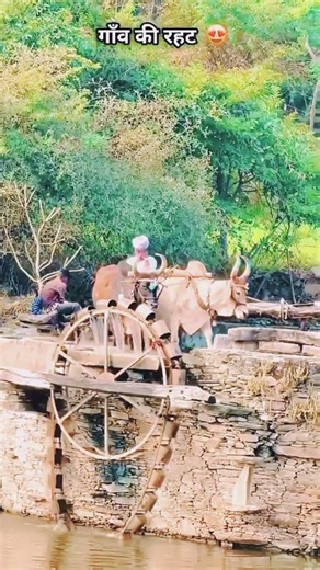 Kaise Din Beete Koi Jatan Bta Ja (गाँव की जिंदगी) #shortsfeed #viralsong short fade...