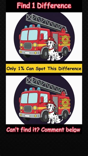 Can You Spot the ONLY Difference? 👀🚒🐶 #spotthedifference