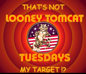 Rut Roh‼️ | The F-14 Tomcat