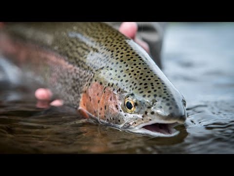 How to Pack for an Alaska Fly Fishing Trip | Tailwaters Fly Fishing