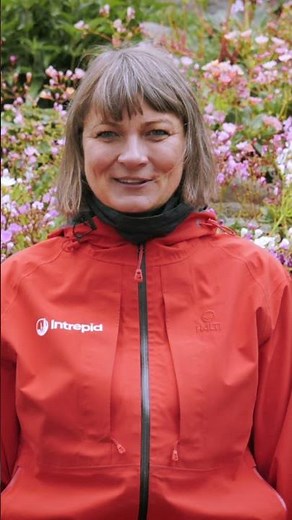 Experience Iceland's magic with Intrepid